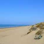 Bahia De Marbella